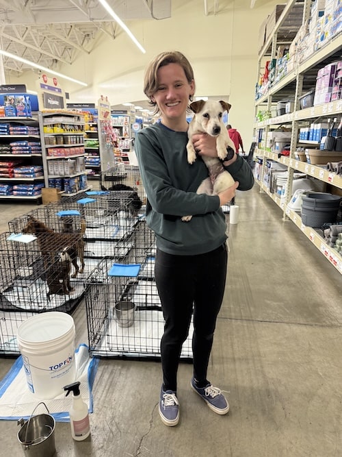 beaverton oregon petsmart dog adoption