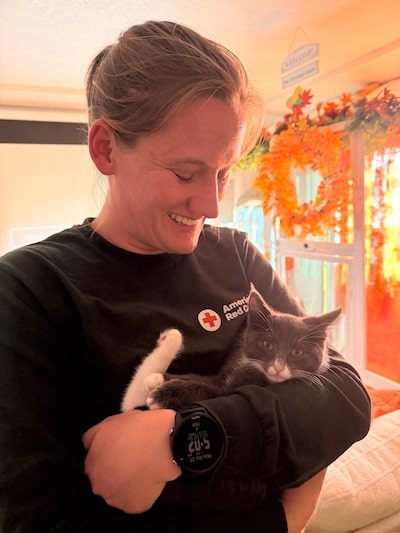 franklin beaverton cat adoption